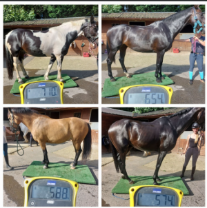 1755772845843.png 1755772845843.png