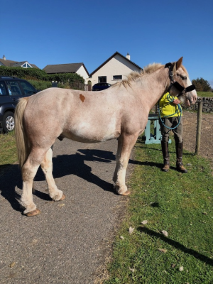 1755791448408.png 1755791448408.png