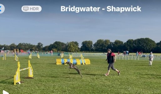 IMG_4573.jpeg IMG_4573.jpeg