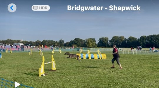 IMG_4574.jpeg IMG_4574.jpeg