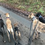 7E7C9843-CAD1-4401-8467-A0FF79995C95.jpeg 7E7C9843-CAD1-4401-8467-A0FF79995C95.jpeg