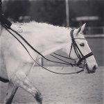 5499BCCD-FE1D-478D-BF64-ADC3C7ED08D3.jpeg 5499BCCD-FE1D-478D-BF64-ADC3C7ED08D3.jpeg