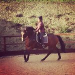 C6C65F0B-8EED-48A0-BB99-A41625550B98.jpeg C6C65F0B-8EED-48A0-BB99-A41625550B98.jpeg