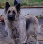 IMG_2918.JPG IMG_2918.JPG