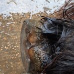 07 BACK LEFT - BACK VIEW 2nd Jan.jpg