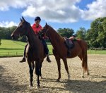 39D21D4A-D972-4AAC-A85B-2EECD8C60A2A.jpeg 39D21D4A-D972-4AAC-A85B-2EECD8C60A2A.jpeg