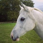 72353367_10156260650081432_92298696867184640_n.jpg 72353367_10156260650081432_92298696867184640_n.jpg