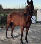 20200112_193125 (1).jpg