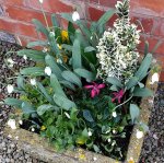 IMG_20200117_132903174 (4).jpg