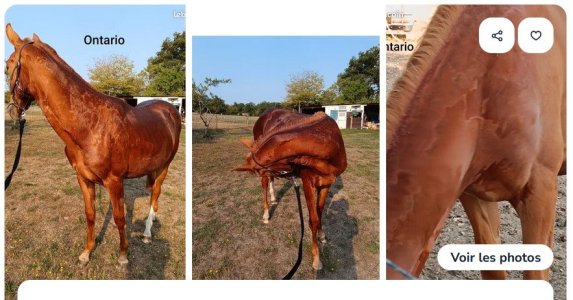 Capture d’écran 2025-08-24 124031.jpg