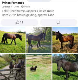 Screenshot_20250824-212827-678.png Screenshot_20250824-212827-678.png