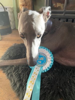 IMG_4606.jpeg IMG_4606.jpeg