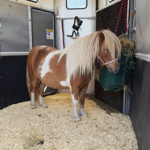 F3517E6A-1D62-4966-8640-D8599D30563A.jpeg F3517E6A-1D62-4966-8640-D8599D30563A.jpeg