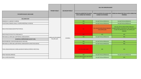 1756235354778.jpeg 1756235354778.jpeg