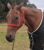 Screenshot_20250826-212159 (1).png