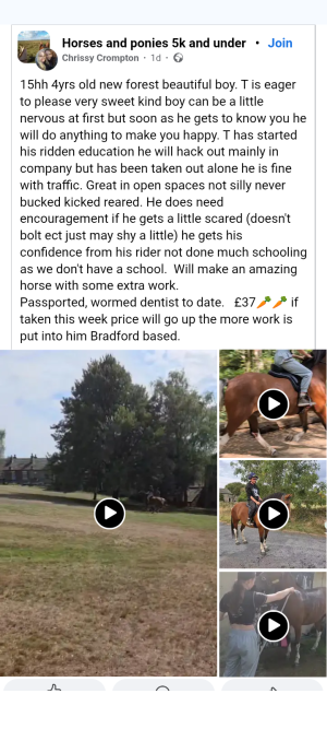 Screenshot_20250827-083352.png Screenshot_20250827-083352.png