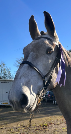 1756312688203.png 1756312688203.png