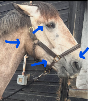 1756312944888.png 1756312944888.png