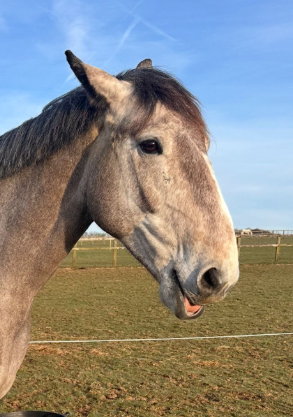 1756313101729.png 1756313101729.png