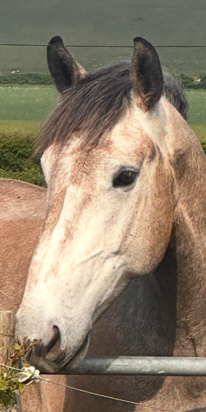 1756313204238.png 1756313204238.png