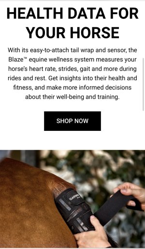 IMG_2728.jpeg IMG_2728.jpeg