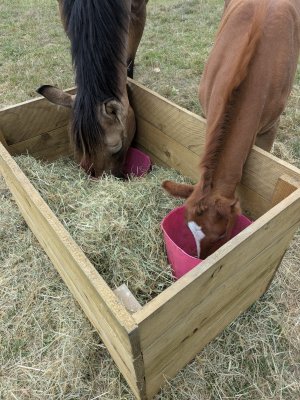 WhatsApp Image 2025-08-18 at 16.27.48.jpeg WhatsApp Image 2025-08-18 at 16.27.48.jpeg