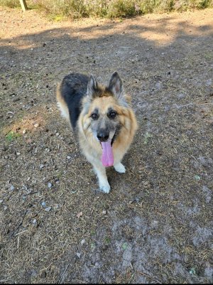 Screenshot_20250827_235609_Photos.jpg Screenshot_20250827_235609_Photos.jpg