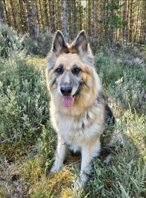 Screenshot_20250827_235621_Photos.jpg Screenshot_20250827_235621_Photos.jpg