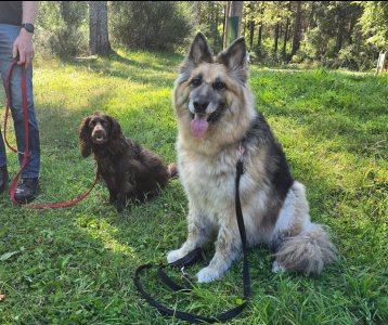 Screenshot_20250827_235640_Photos.jpg Screenshot_20250827_235640_Photos.jpg