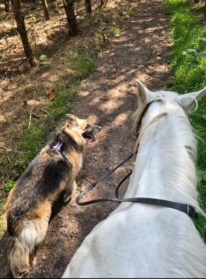 Screenshot_20250827_235755_Photos.jpg Screenshot_20250827_235755_Photos.jpg