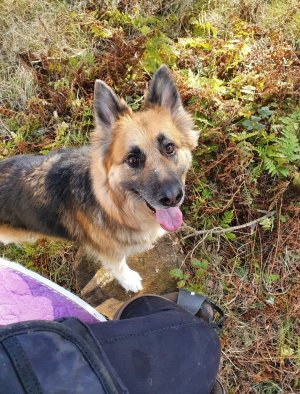 Screenshot_20250827_235848_Photos.jpg Screenshot_20250827_235848_Photos.jpg