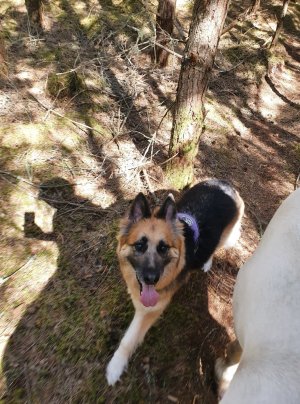 Screenshot_20250827_235942_Photos.jpg Screenshot_20250827_235942_Photos.jpg