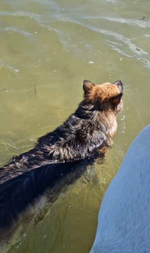 Screenshot_20250828_000009_Photos.jpg Screenshot_20250828_000009_Photos.jpg