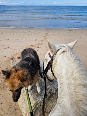 Screenshot_20250828_000026_Photos.jpg Screenshot_20250828_000026_Photos.jpg