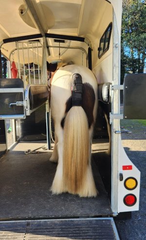 20250828_215930.jpg 20250828_215930.jpg