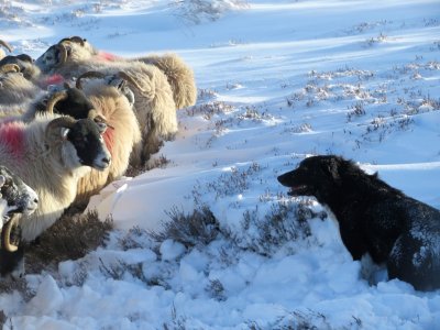 IMG_2006.jpeg IMG_2006.jpeg