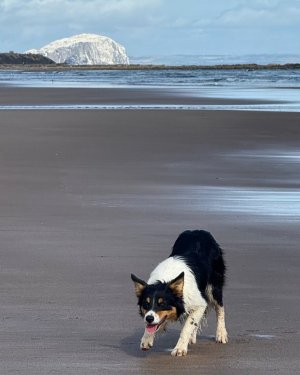 DD83A9AB-F7E4-4381-B8CB-527674273807.jpeg DD83A9AB-F7E4-4381-B8CB-527674273807.jpeg