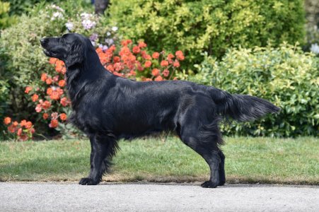 IMG_4493.jpeg IMG_4493.jpeg