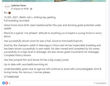 Rio 1st advert .jpg Rio 1st advert .jpg