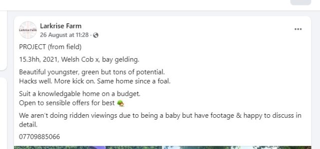 Rio 2nd advert.jpg Rio 2nd advert.jpg