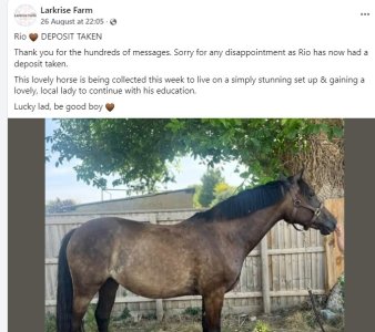 Rio deposit taken..jpg Rio deposit taken..jpg