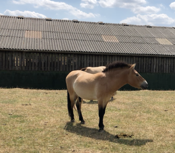 Screenshot 2025-08-31 at 16.42.00.png Screenshot 2025-08-31 at 16.42.00.png