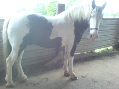 IMG_0650.jpeg IMG_0650.jpeg