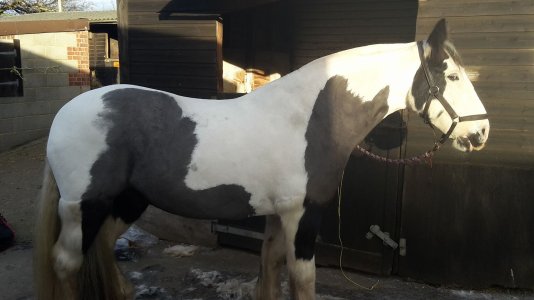 IMG_0198.jpeg IMG_0198.jpeg