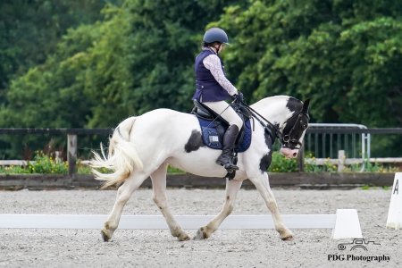 VJG00108.jpeg VJG00108.jpeg