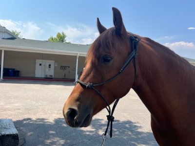 IMG_1402.jpeg IMG_1402.jpeg