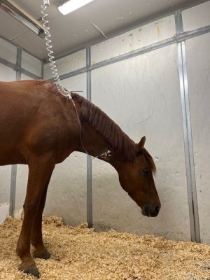 IMG_1407.jpeg IMG_1407.jpeg