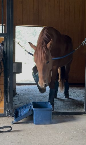 IMG_1411.jpeg IMG_1411.jpeg