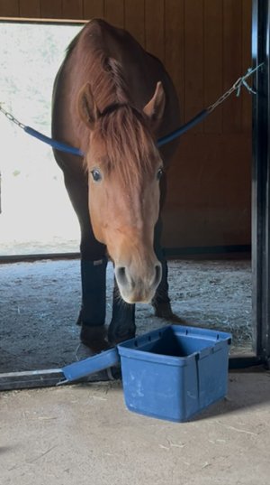 IMG_1412.jpeg IMG_1412.jpeg