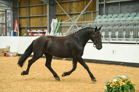 IMG_0075.jpeg IMG_0075.jpeg